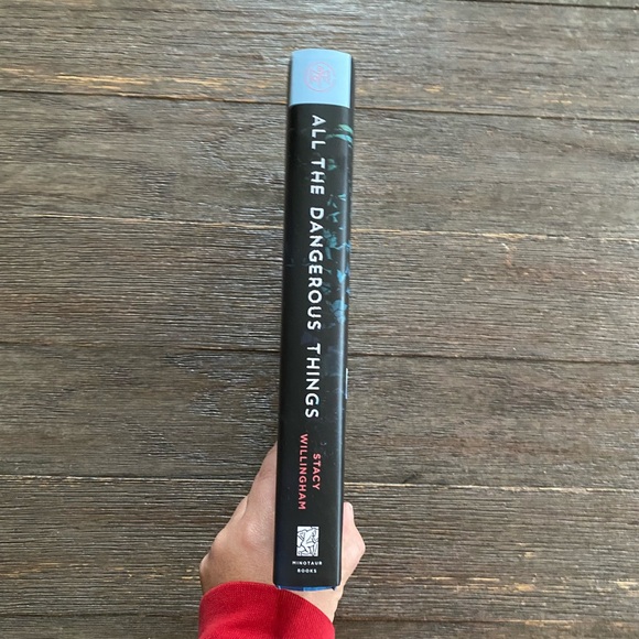 All The Dangerous Things by Stacy Willingham - Picture 3 of 5